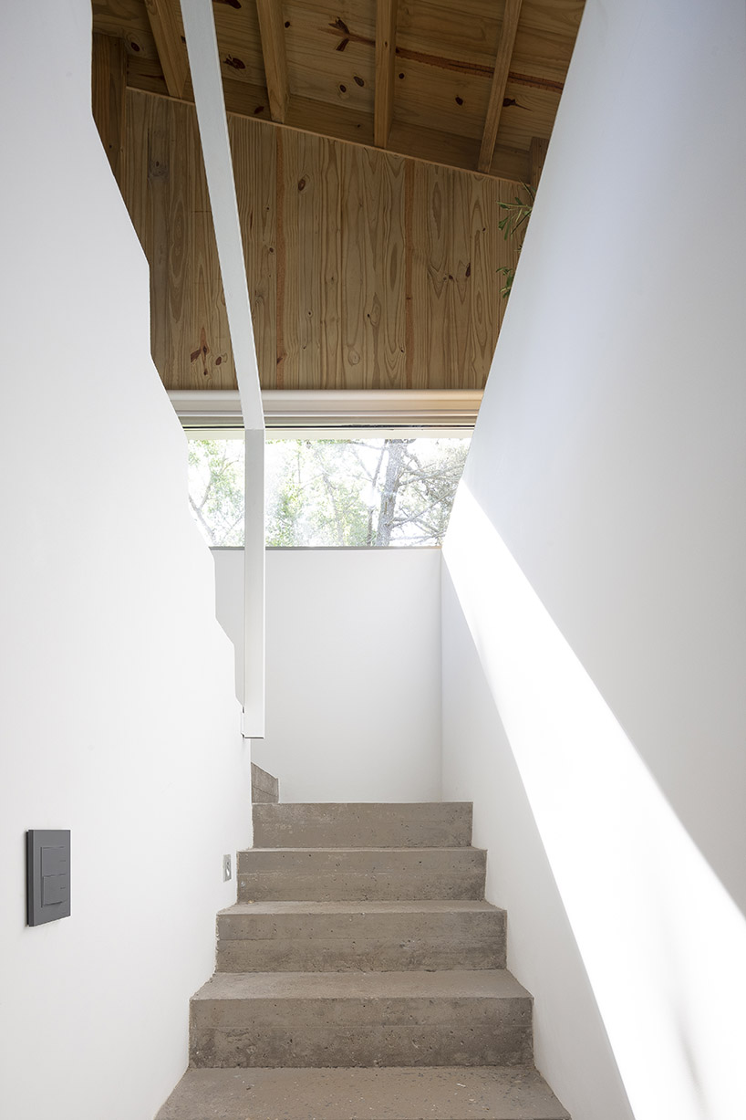 pinguino house 7