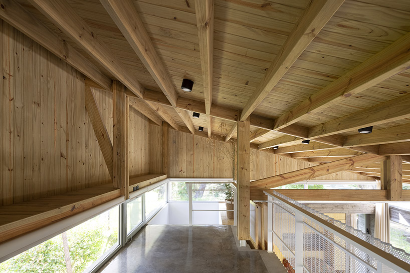 pinguino house 8