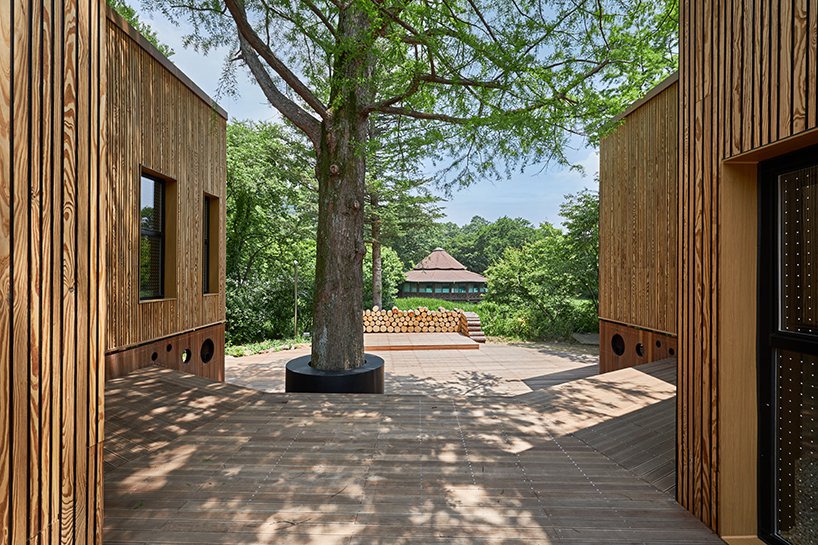 korea national arboretum childrens forest school 6