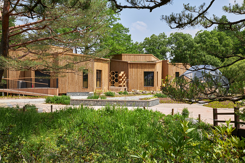 korea national arboretum childrens forest school 8