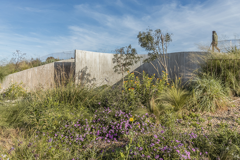 undulating walls emerge from ground to encircle atelierM's shire residence