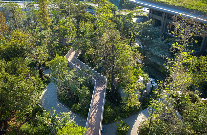 forest pavilion at the forestias 7