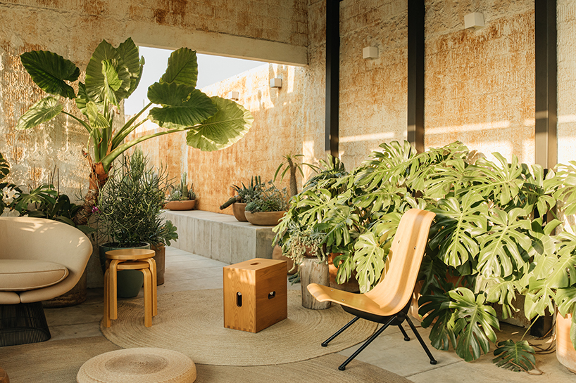 marc pascal transforms an existing rooftop into a cozy dessert like terrace in mexico city 6