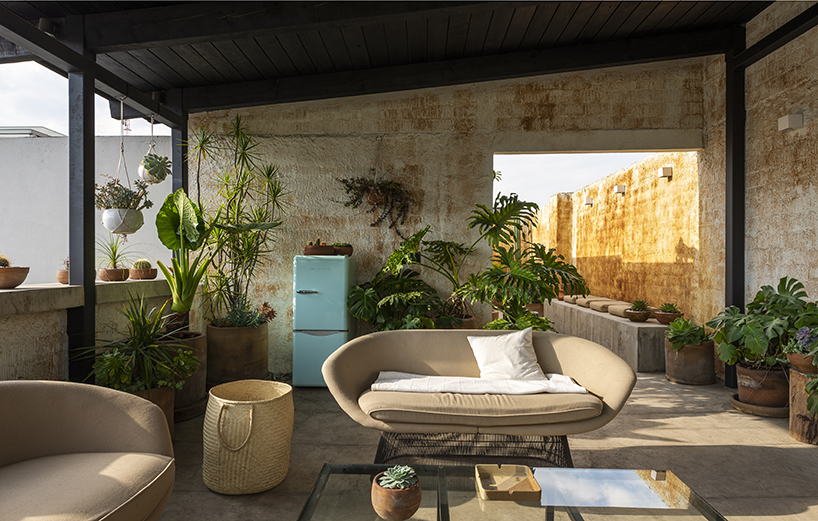 marc pascal transforms an existing rooftop into a cozy dessert like terrace in mexico city 7