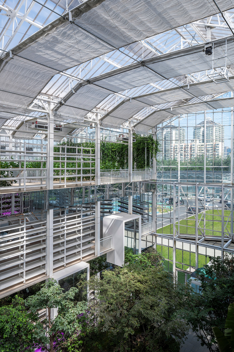 pleated glass curtain wall for vertical farm in beijing designed by van bergen kolpa architects