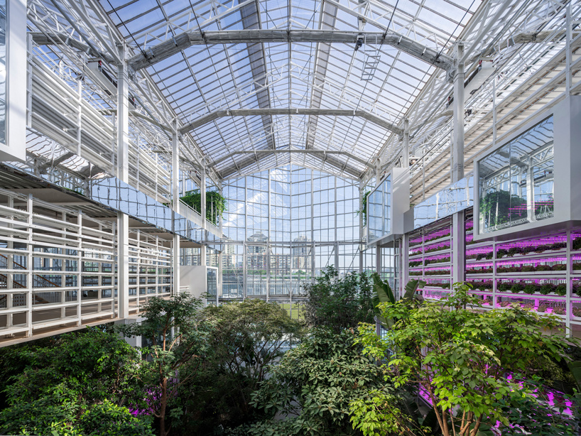 pleated glass curtain wall for vertical farm in beijing designed by van bergen kolpa architects