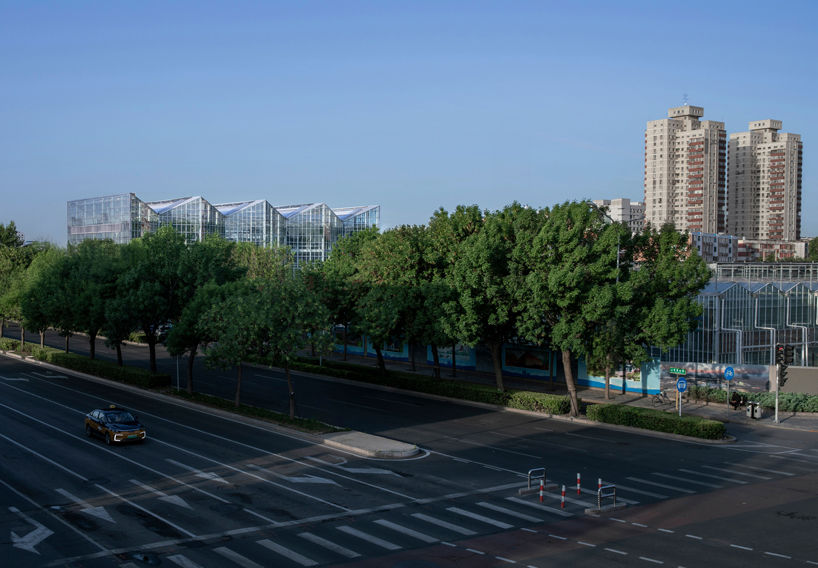 pleated glass curtain wall for vertical farm in beijing designed by van bergen kolpa architects