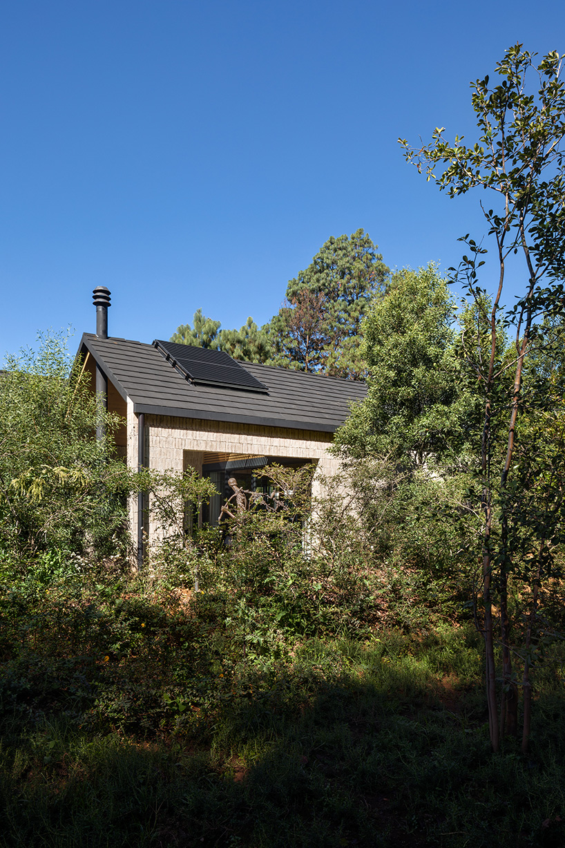 La Casa De La Abuela A Multigenerational House In The Mexican Forest 