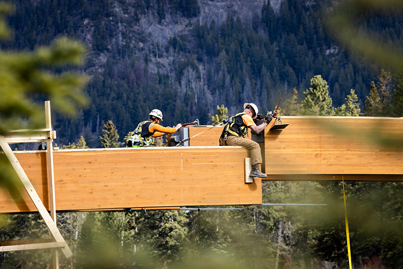 nancy pauw pedestrian bridge's timber arch spans over bow river in canada