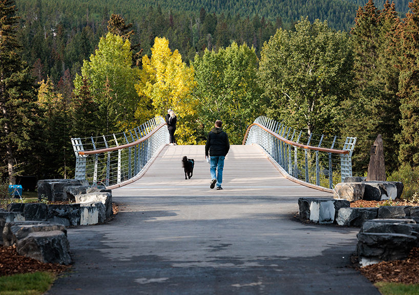 nancy pauw pedestrian bridge's timber arch spans over bow river in canada