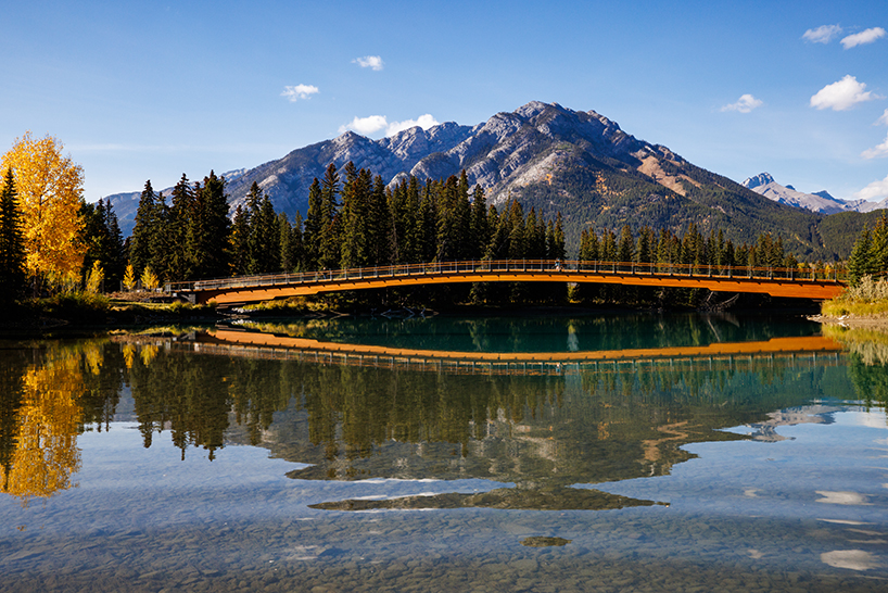 nancy pauw pedestrian bridge's timber arch spans over bow river in canada