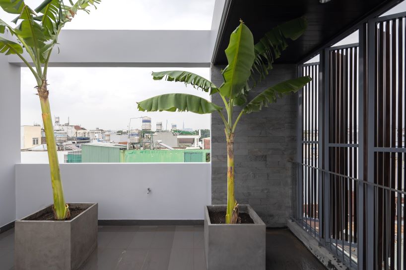 folding teak shutters weave light and nature into pham trung's narrow home in vietnam