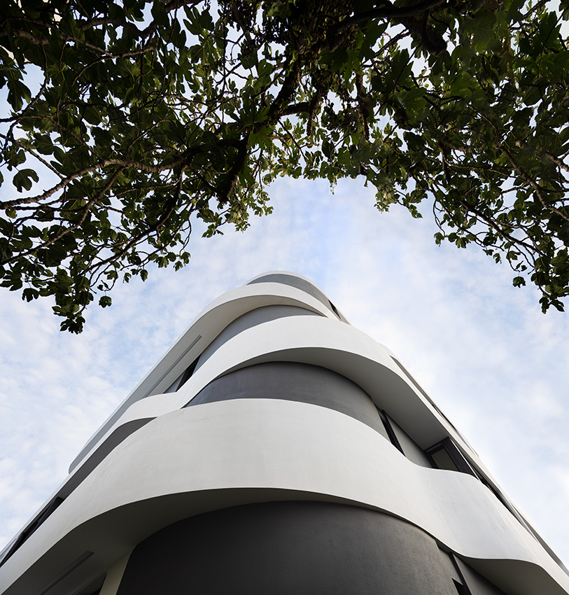 Casa de Representantes Symbiosis Una tipología residencial innovadora que reúne a dos familias 4