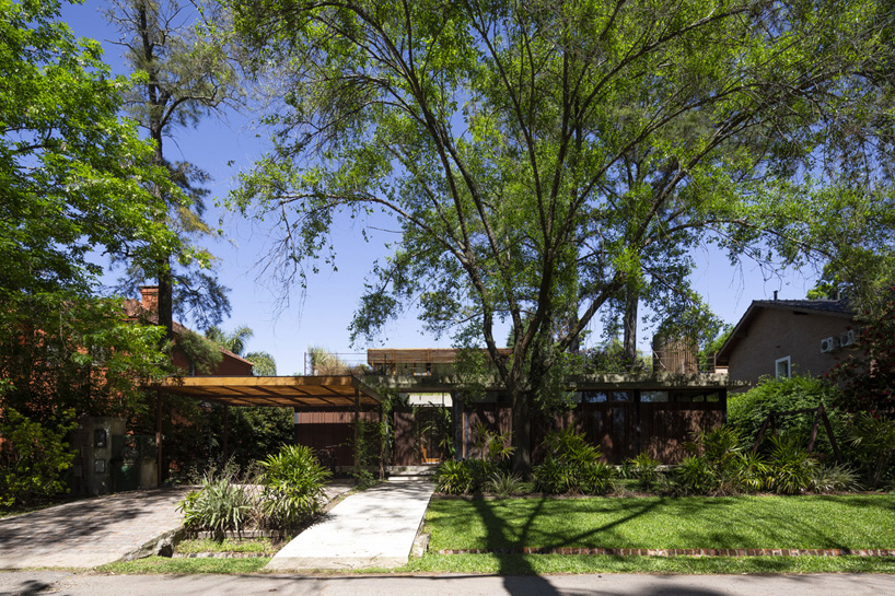 house among trees in buenos aires prioritizes openness and transparency 
