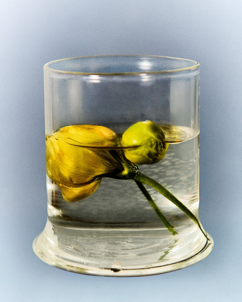 borosilicate drinking glass creates optical illusion of liquid melting into table - 6