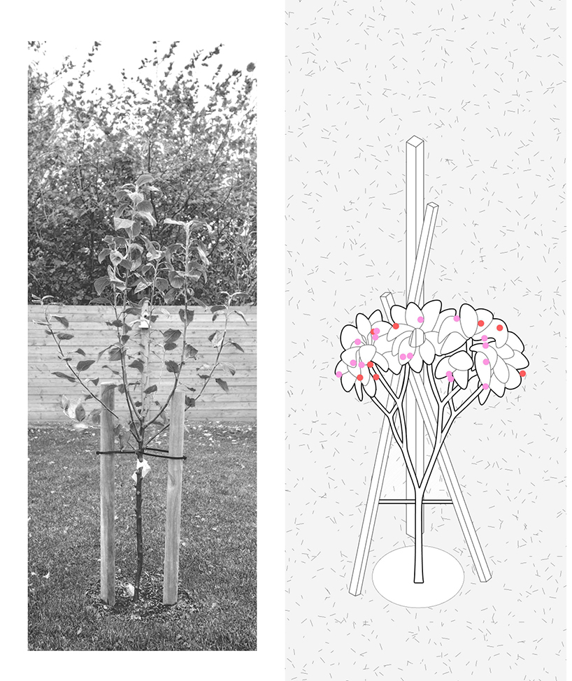 Alsar Atelier diseña una sala comunitaria que desaparece para mitigar el efecto de isla de calor urbana12