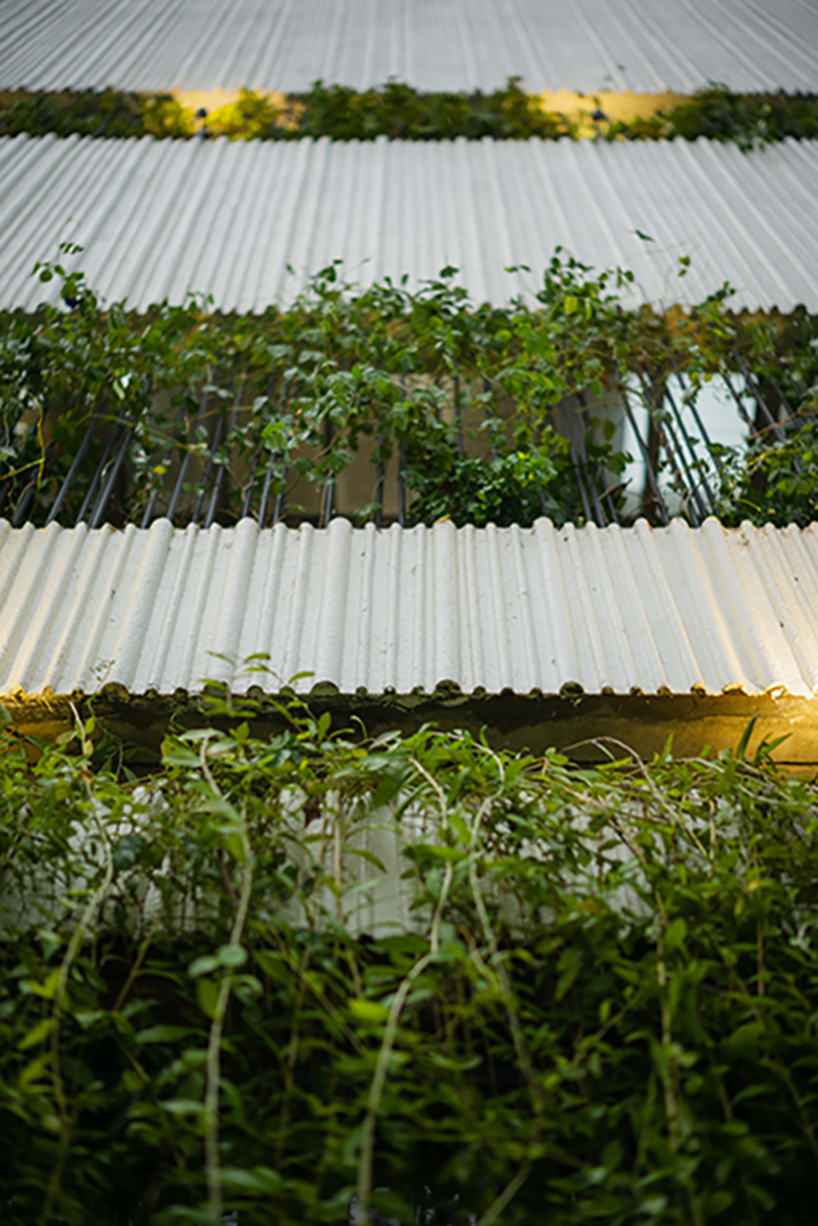 introverted 'RY's house' in vietnam intertwines living space and greenery