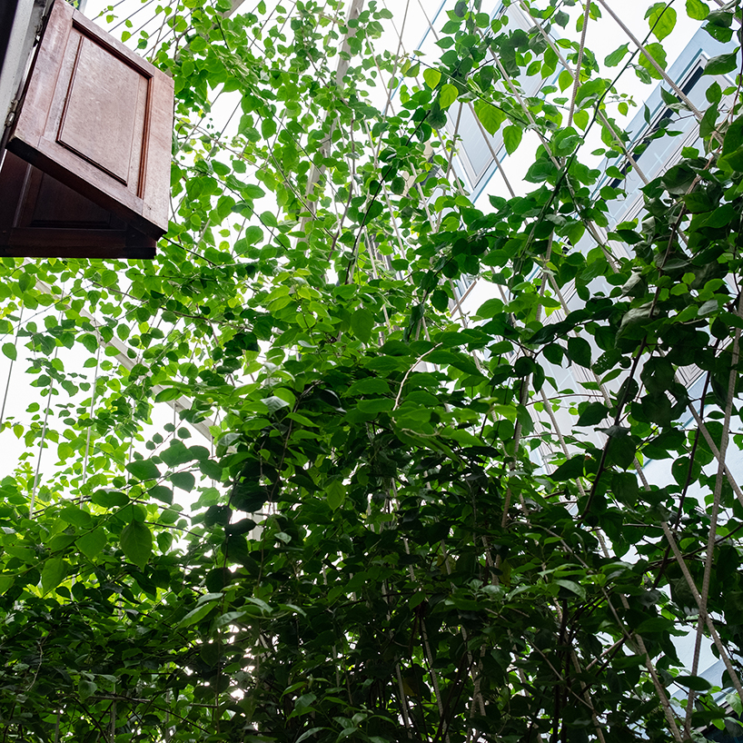 hole-brick wall maximizes airflow and daylight for tiny house in vietnam