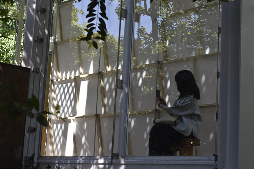 Installations specific to the studio website Heech Suse Korean pavilion with Bienala's Giardini Trees