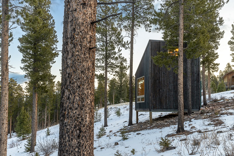 michael quirk reuses local wood to complete tiny carbon-negative cabin in colorado's forest
