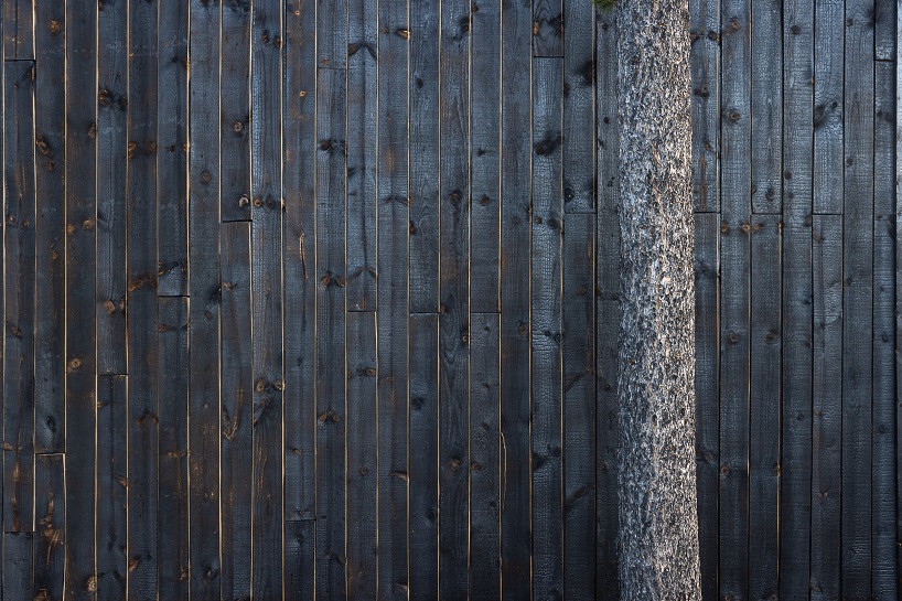 michael quirk reuses local wood to complete tiny carbon-negative cabin in colorado's forest