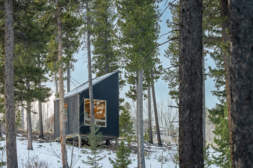 michael quirk reuses local wood to complete tiny carbon-negative cabin in colorado's forest