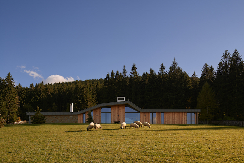 angled roof formation shields wooden residence in czech mountains