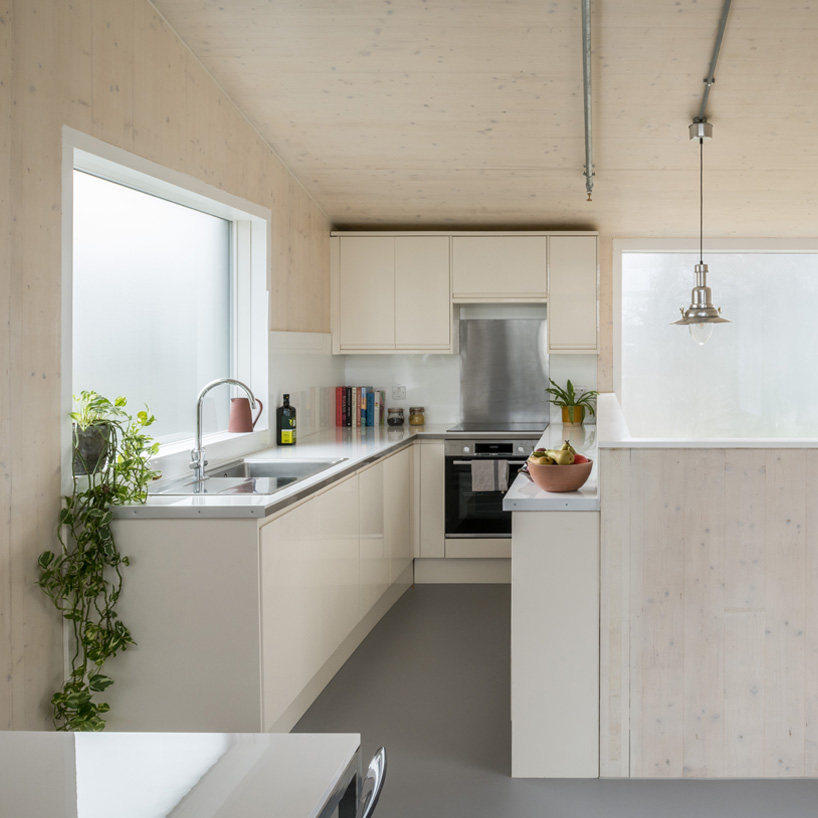 forest houses by dallas pierce quintero