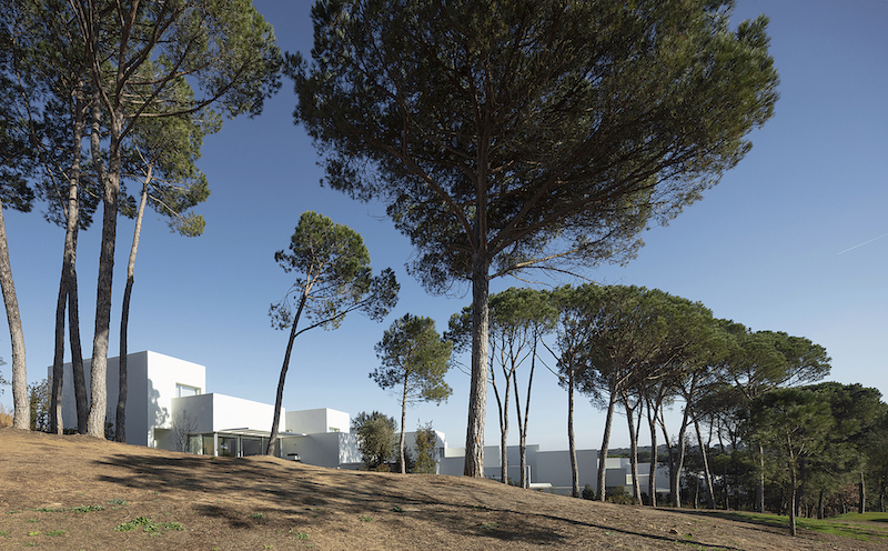 dozens of white cubes spread over a pine forest in the spanish countryside