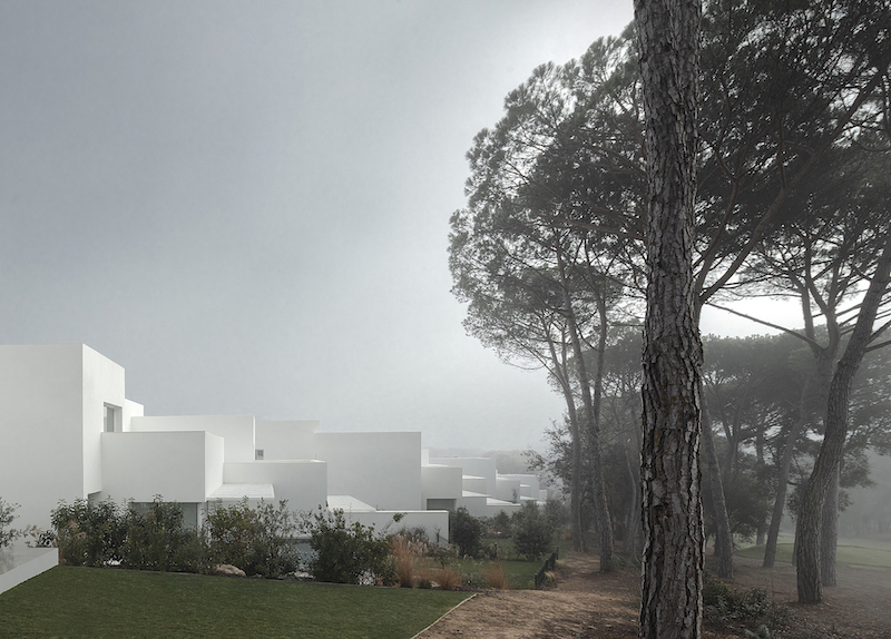 dozens of white cubes spread over a pine forest in the spanish countryside