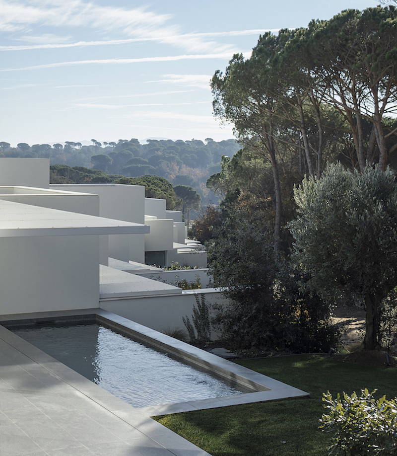 dozens of white cubes spread over a pine forest in the spanish countryside