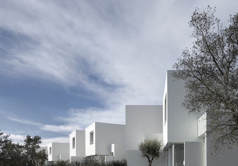 dozens of white cubes spread over a pine forest in the spanish countryside