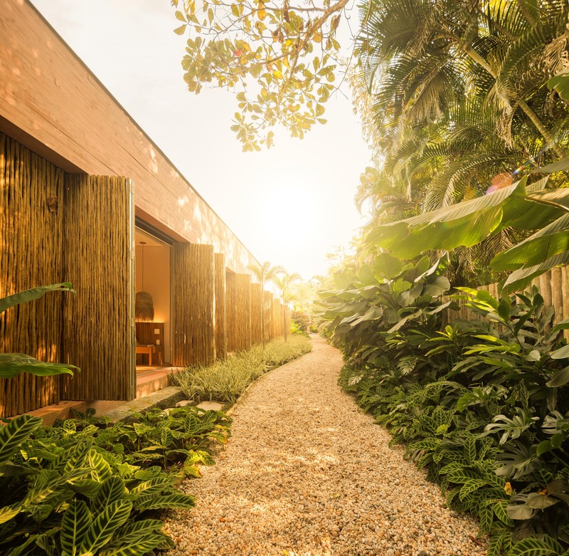 dry pink concrete residence by mf+arquitetos emerges from lush forest in rio de janeiro