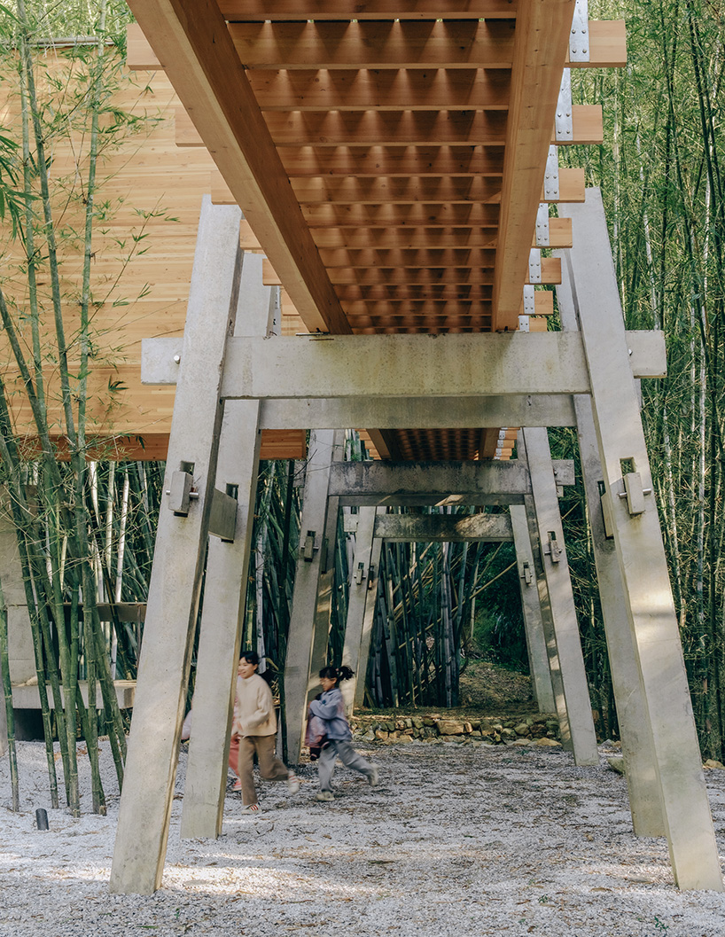 vernacular bridge craftsmanship informs micro-museum set within bamboo grove in china - 8