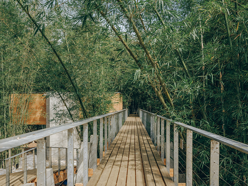 vernacular bridge craftsmanship informs micro-museum set within bamboo grove in china - 11