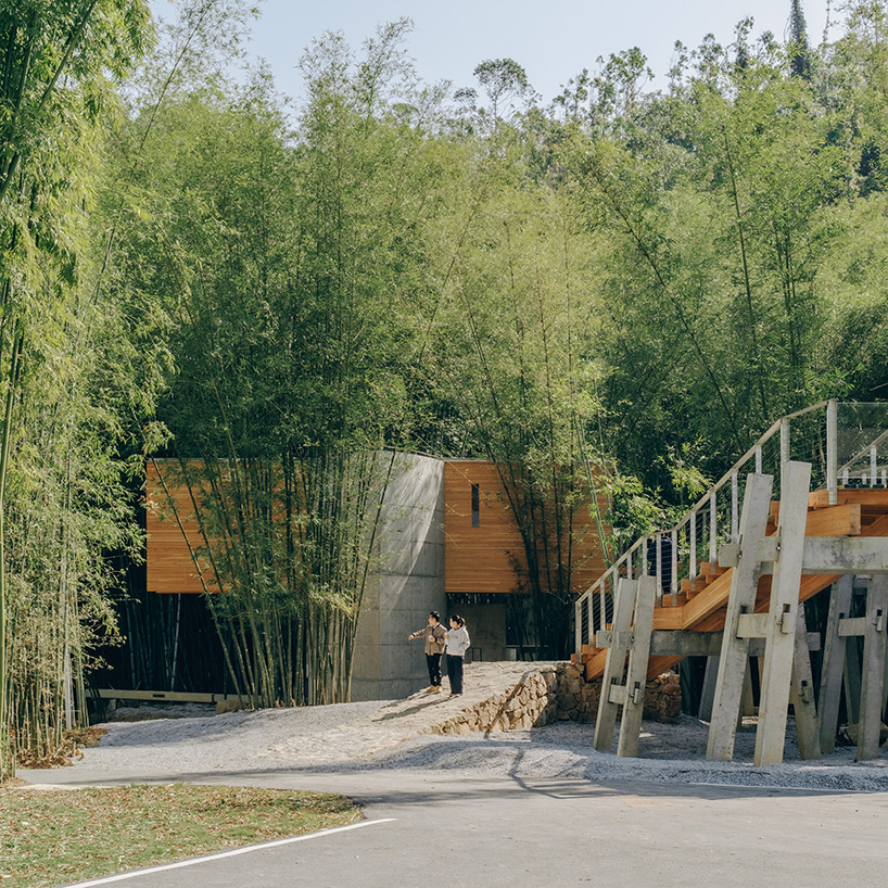 vernacular bridge craftsmanship informs micro-museum set within bamboo grove in china - 4