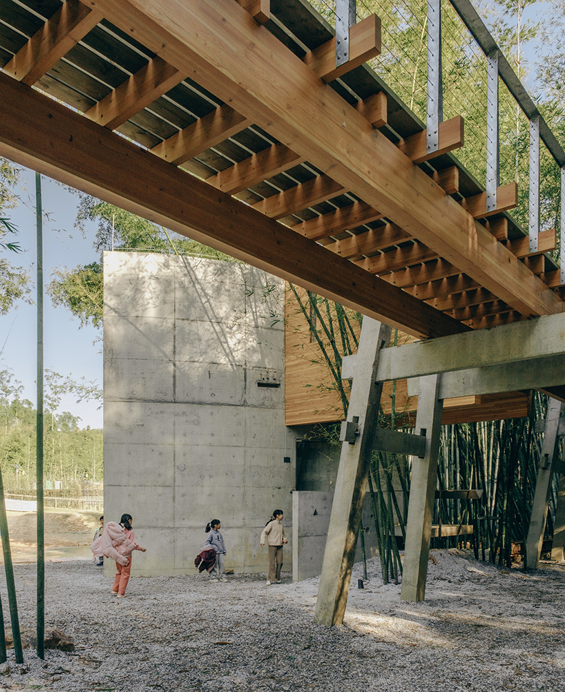 vernacular bridge craftsmanship informs micro-museum set within bamboo grove in china - 7