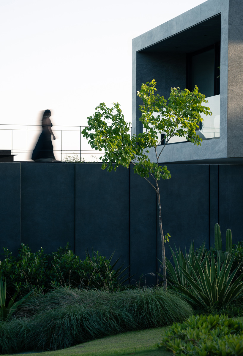 QBO3 Arquitectos menggabungkan platform terhuyung -huyung di rumah Veroki di hutan tropis Kosta Rika 