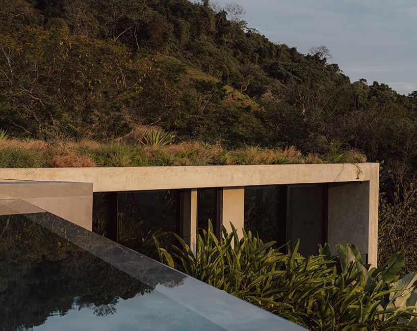 casa cinco 7 living along the tropical edge 5