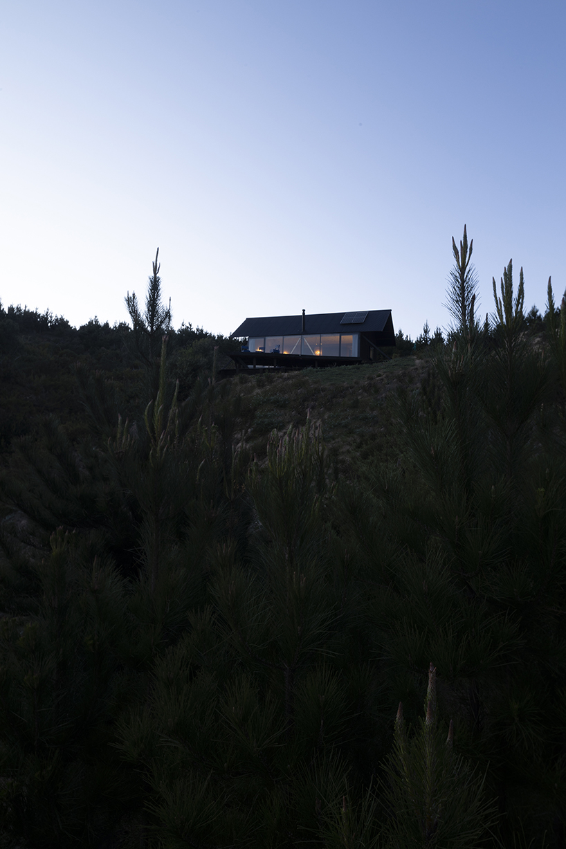 alfredo gonzalez briceño arquitectos' casa chica immerses residents in the chilean pine forest 