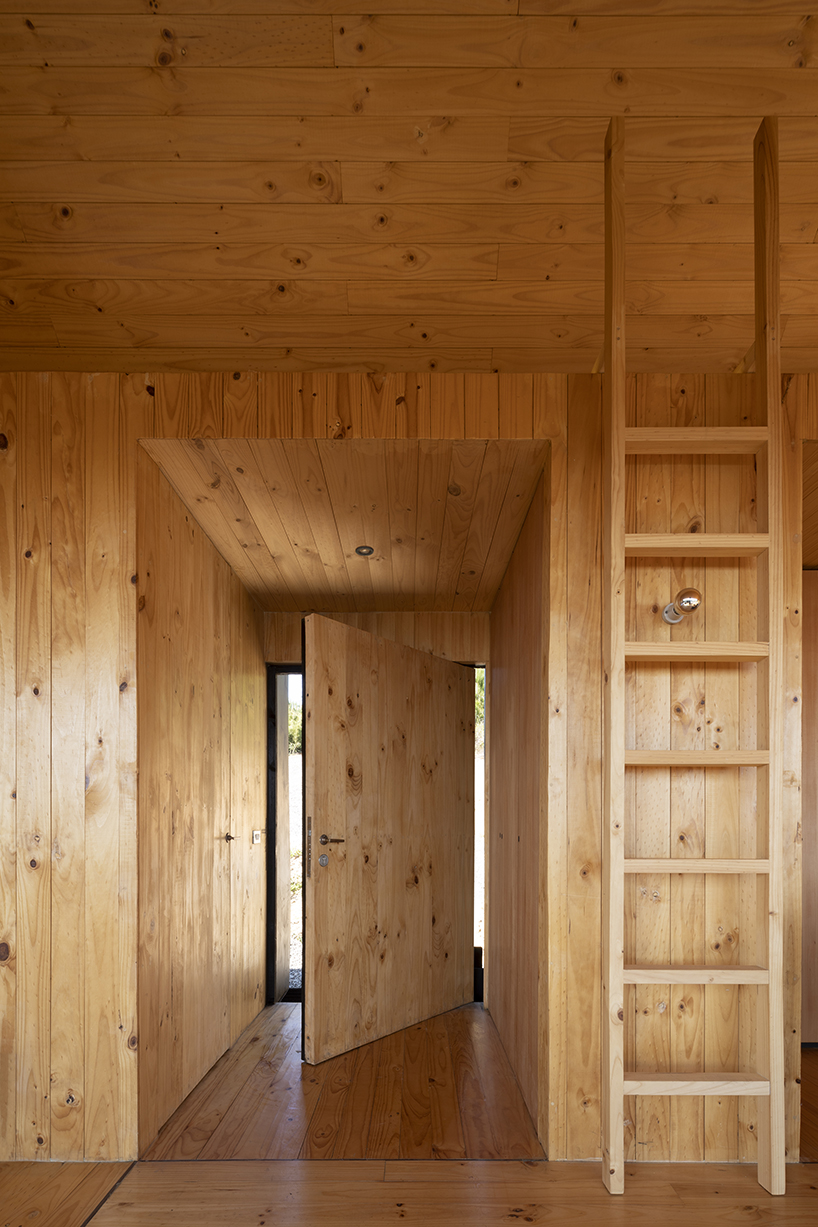 alfredo gonzalez briceño arquitectos' casa chica immerses residents in the chilean pine forest 