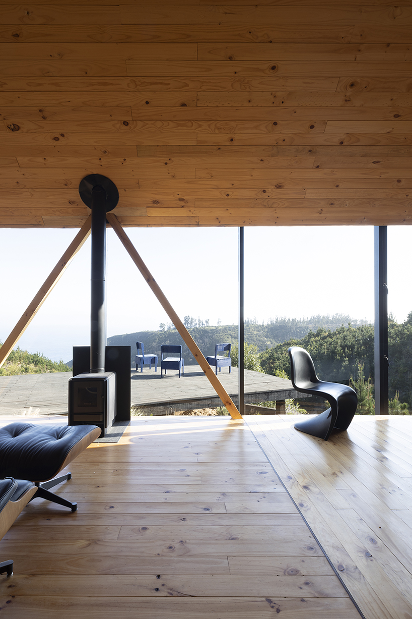 alfredo gonzalez briceño arquitectos' casa chica immerses residents in the chilean pine forest 