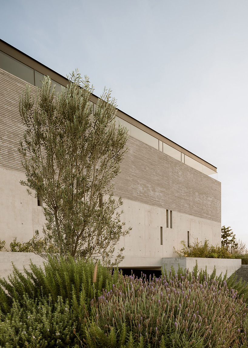 Bloques de hormigón con intervenciones en forma de cuadrícula Wrap Mexico House por Laboratorio de Arquitectura