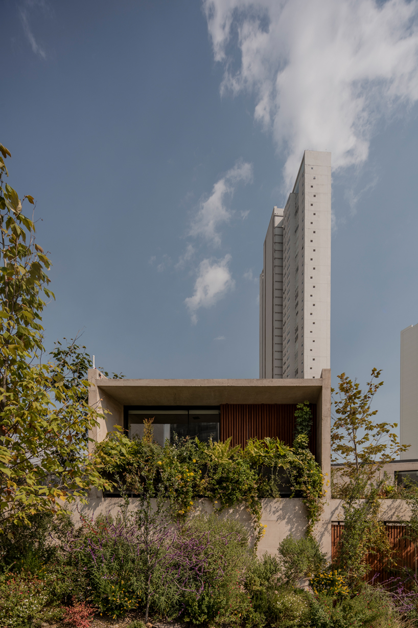 Plantado en un piso residencial de concreto en Sans Barto, Ciudad de México