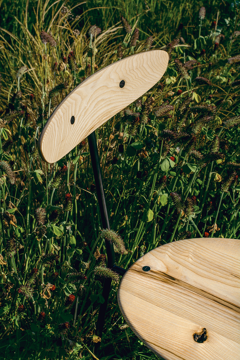 daisee chair