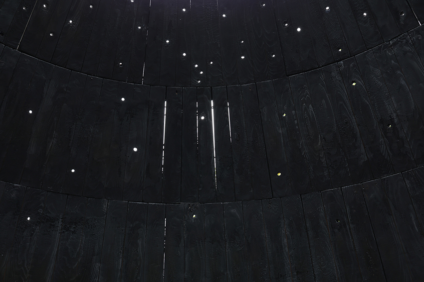 tomorrow's 'field of stars' ponders the environment in japan