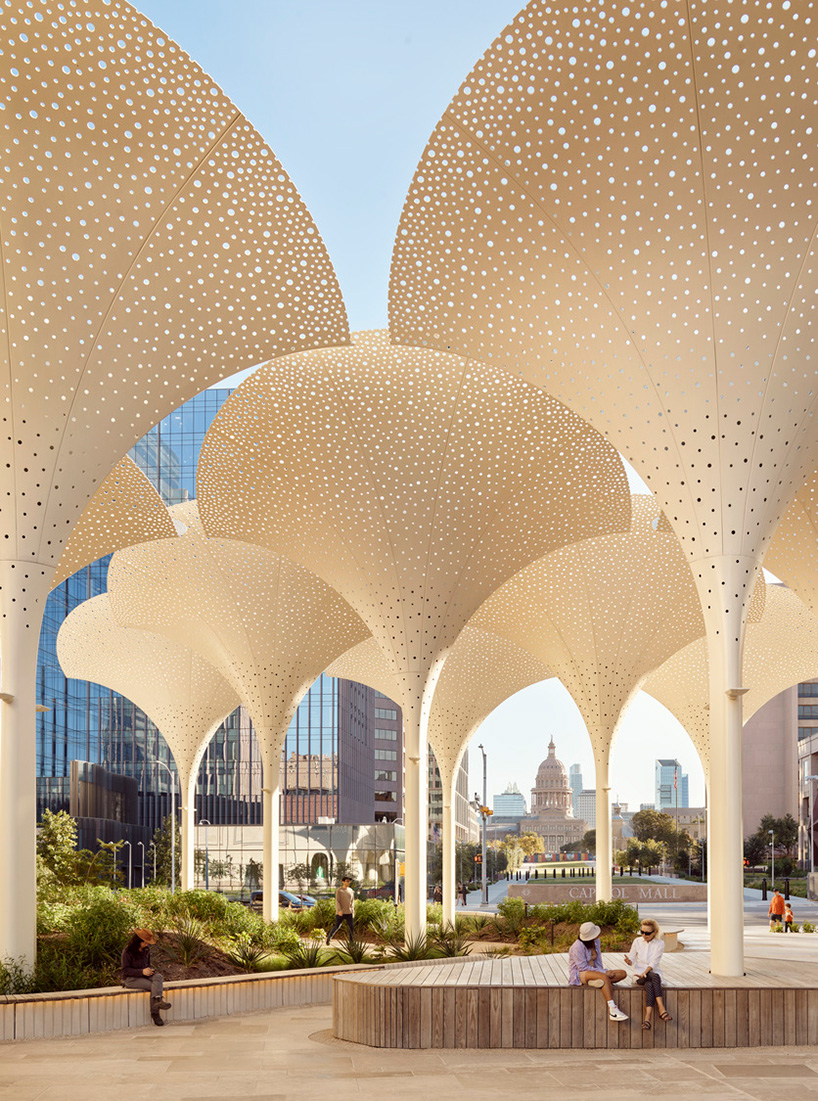 snøhetta's revised landscaping encircles arched petal canopy in austin's blanton museum