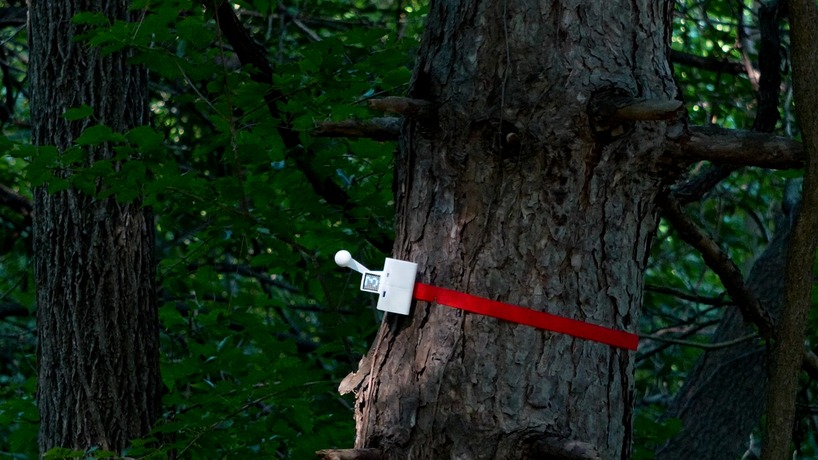tree-mounted machines connect to web app to let users knock on wood remotely - 1