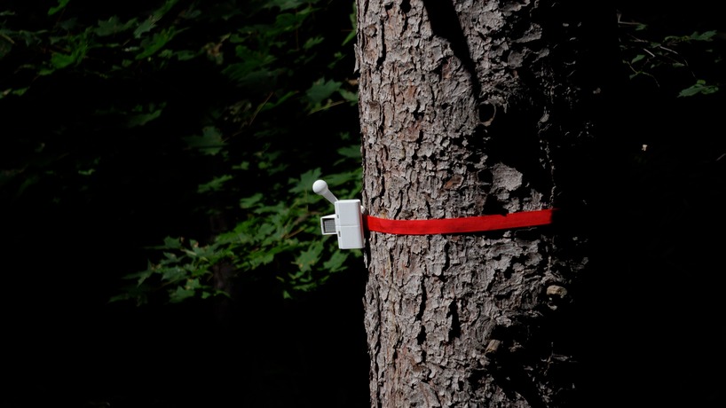 tree-mounted machines connect to web app to let users knock on wood remotely - 2