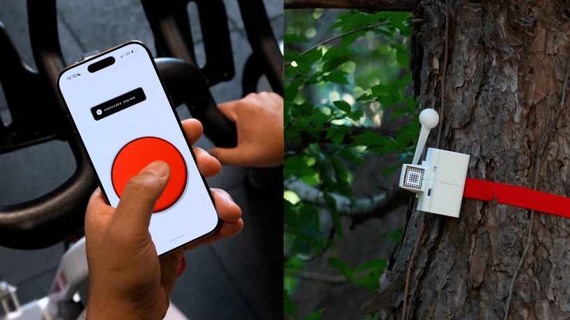 tree-mounted machines connect to web app to let users knock on wood remotely - 5